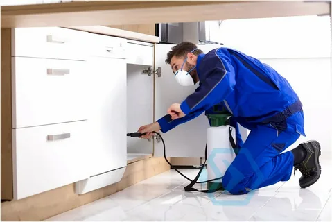 Cockroach Exterminator