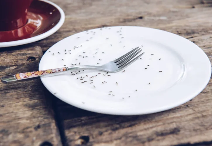 General pest control at Cloverdale WA 6105