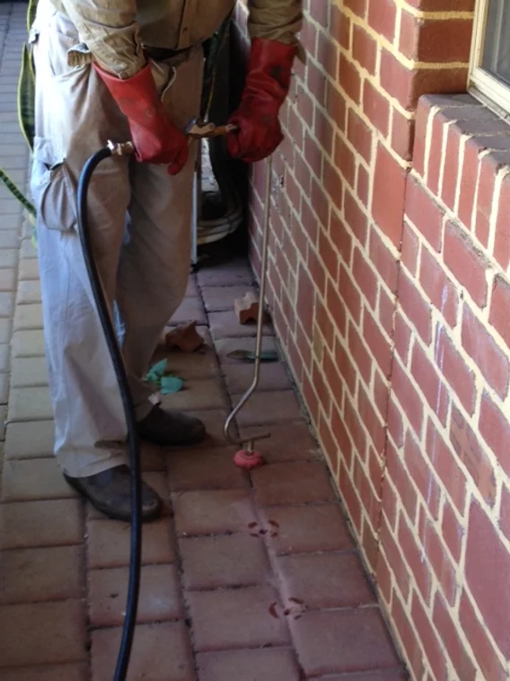 injecting Fipronil chemical to create a subsurface termite barrier